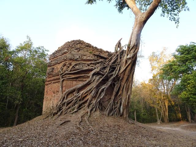 12.02.2020 hier ist noch ein eingewachsener Tempel