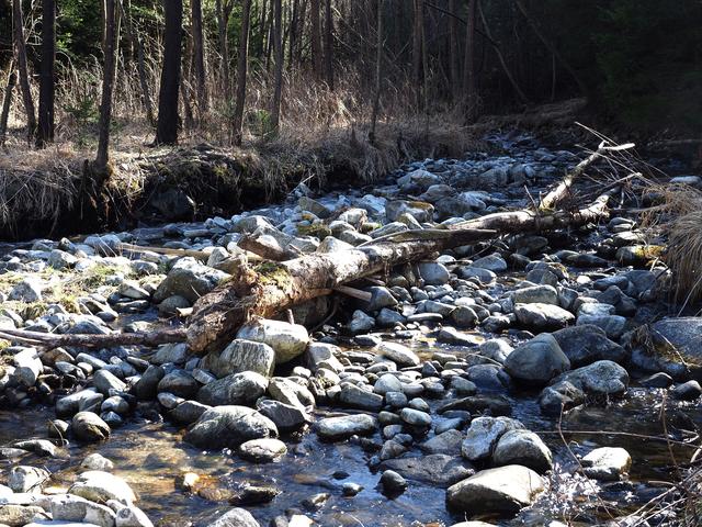 Solche Anblicke sieht man immer öfter. Bäche ohne Wasser.