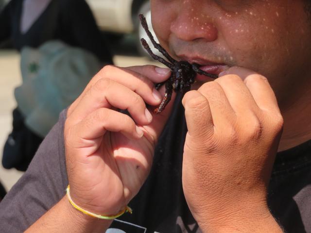 12.02.2020 offensichtlich schmeckt die gebratene Vogelspinne.... 