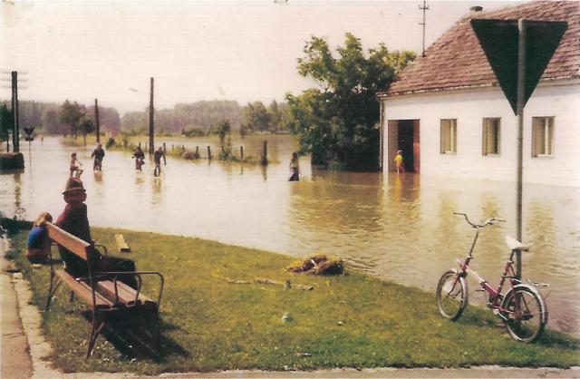 Leitha Hochwasser 1975 in Trautmannsdorf