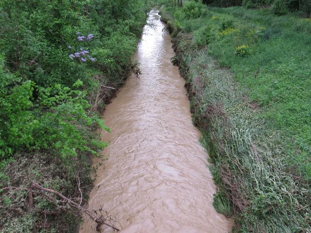Bei Starkregen und Co. wird das Wasser der Schmida "schlammig".