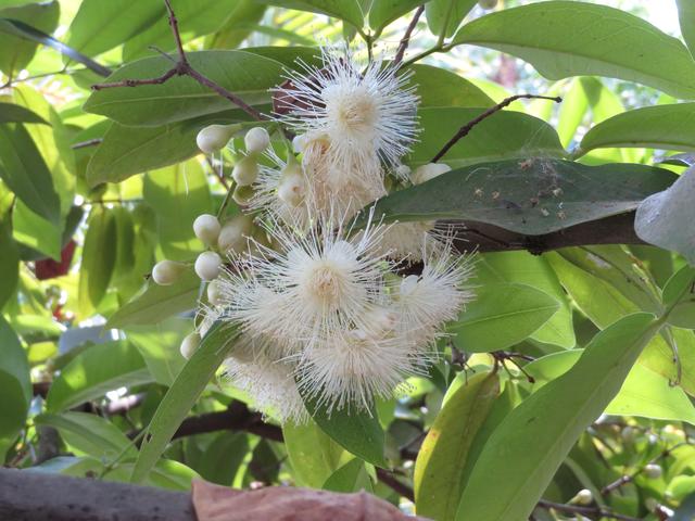 12.02.2020 Hotelgarten