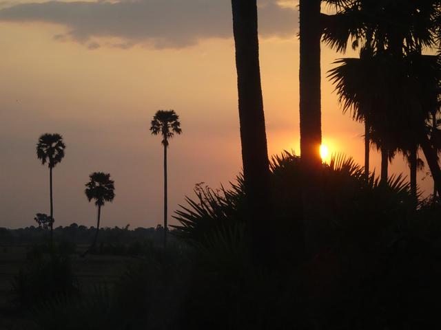12.02.2020 auf der Rückfahrt ins Hotel sehen wir noch einen schönen Sonnentergang