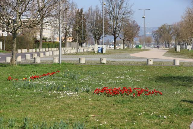 Der Frühling ist in Urfahr angekommen.