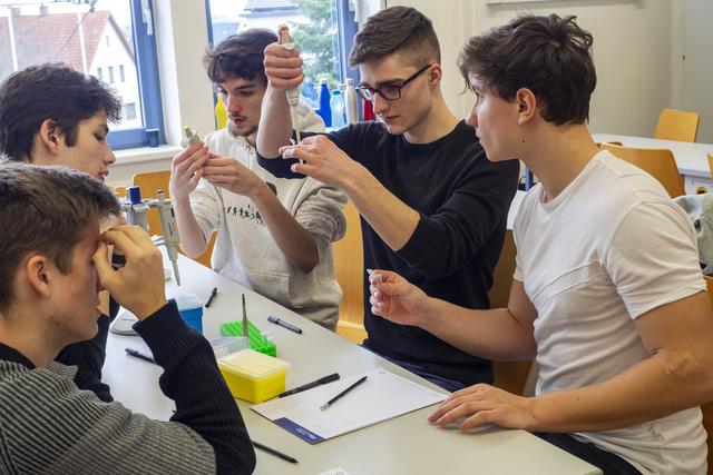 Wer bin ich? Diese Frage stellten sich die Maturanten beim Genanalyse-Kurs, der interessante Ergebnisse zum Vorschein brachte. | Foto: Gymnasium Zwettl