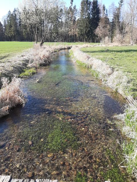 Ein Spaziergang (alleine oder mit den Personen, mit denen man in einem Haushalt lebt) wirkt sich positiv auf die mentale Gesundheit aus.