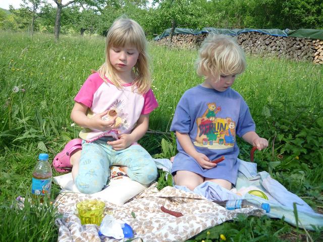 Für ein Picknick braucht es nicht viel.