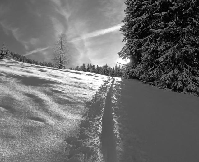 Von Schi- und Bergtouren wird derzeit abgeraten.
