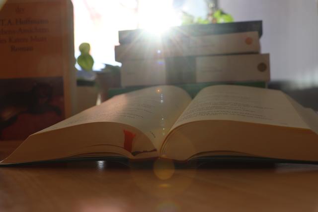 Was einem in der Isolation bleibt: Bücher.