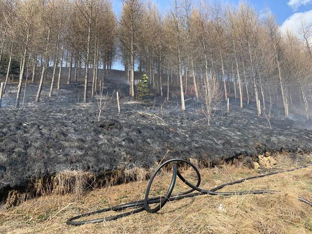 Die Feuerwehr konnte Schlimmeres verhindern.