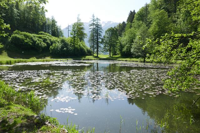 Der Egelsee (April 2018).  | Foto: Thomas Neuhold