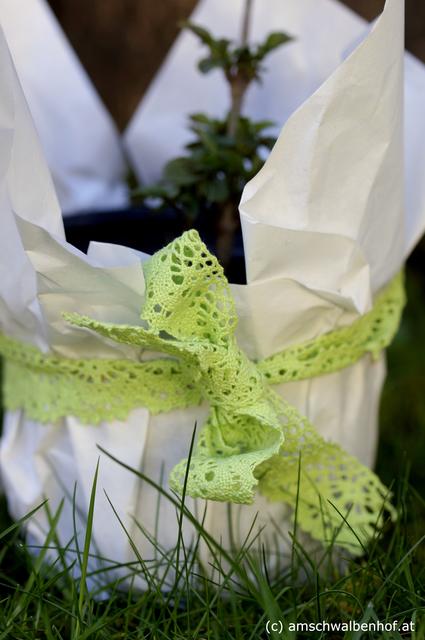 Kerstin Teubl:"Setzen Sie eines der Pflänzchen in einen Blumentopf und umwickeln Sie den Topf mit Papier, es kann auch Zeitungspapier sein. Wickeln sie ein schönes Band herum und basteln sie eine Karte mit einem Ostergruß dazu."
