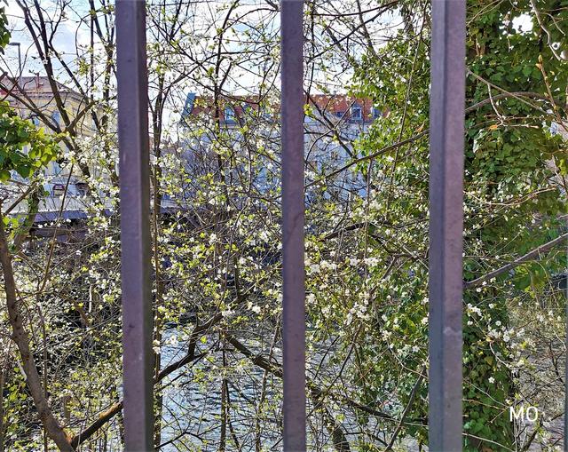 Graz, Frühling, Quarantäne