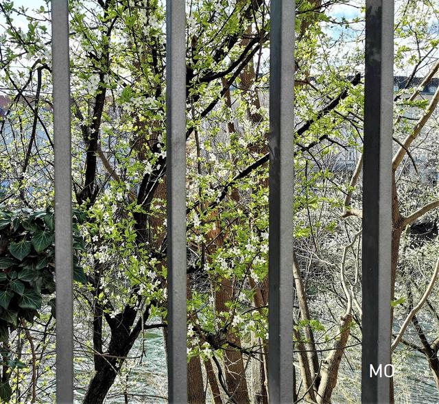 Frühling 2020 Graz