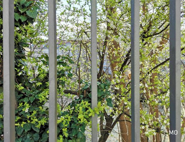 Quarantäne Graz Frühling