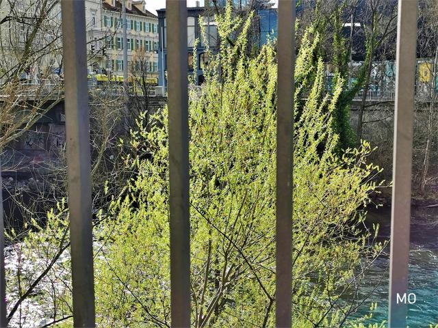Frühling in Quarantäne