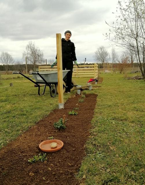 Kerstin Teubl vom Schwalbenhof in Bierbaum an der Safen verrät wie Pflanzenvermehrung gelingt.