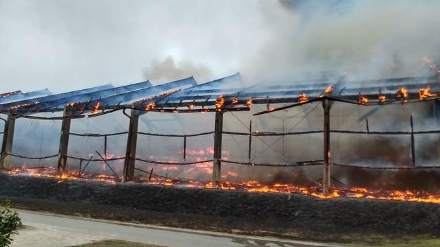 Foto: Martin Kremser