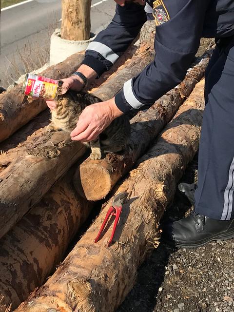 Die Katze konnte befreit werden. | Foto: LPD Steiermark