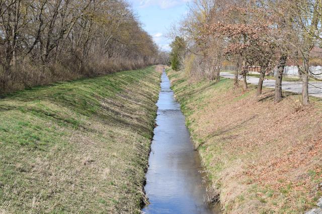 Die Schmida: Nicht nur im Wasser gibt es Leben. Auch an den Ufern – in den Auwäldern – tummeln sich Rehe, Wildschweine und Hasen.