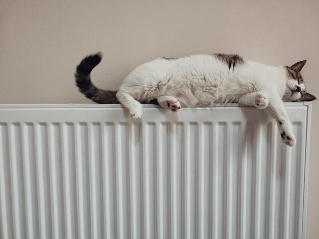 Wohlige Wärme im Haus aus erneuerbarem Gas.