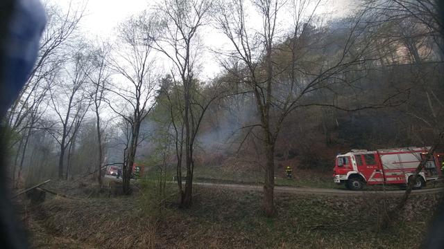 Foto: Martin Kremser