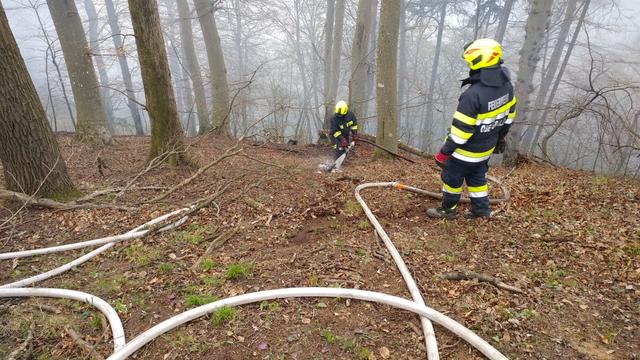 Foto: Martin Kremser