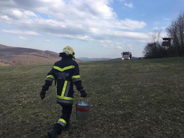 Kleiner Waldbrand wurde gelöscht.