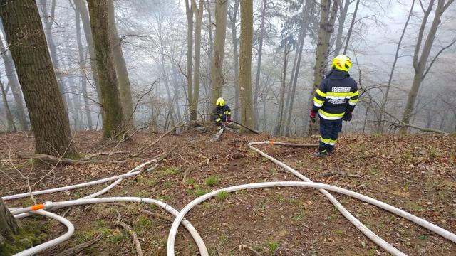 Foto: Martin Kremser