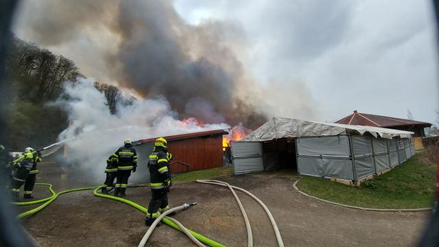 Foto: Martin Kremser