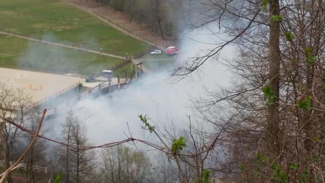 Foto: Martin Kremser