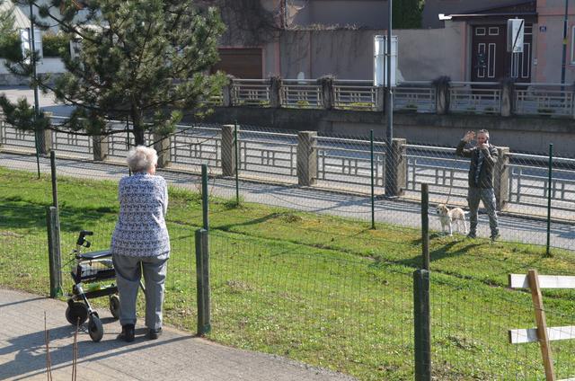 Videoanruf in der Natur: Leopoldine Schmatz plaudert mit ihrem Sohn. | Foto: SeneCura Purkersdorf