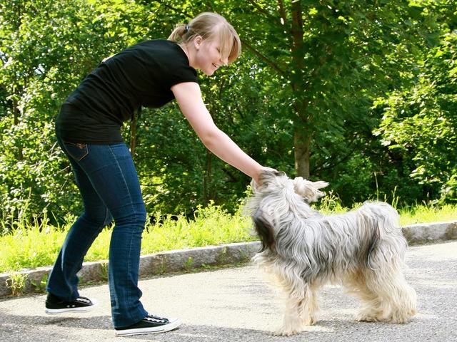 Auch für die richtige Betreuung der Vierbeiner muss in Kisensituationen gesorgt sein.  | Foto: ÖRK/M. Hesz