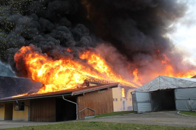 Foto: Stadtfeuerwehr Leibnitz / Michael Gratzer
