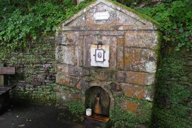 Die Julius Quelle im wildromantischen Pesenbachtal (Gemeinde Feldkirchen).