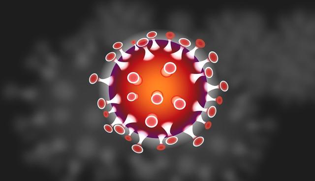 Aufruf an Personen, die sich vom 13. bis 16. März in der Axamer Lizum aufgehalten haben
Nach gestern bekannt gewordenen Coronavirus-Fällen laufen die Abklärungen der Gesundheitsbehörden auf Hochtouren. | Foto: iXimus/pixabay