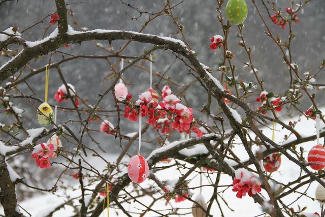 Foto: Josef Fürbass