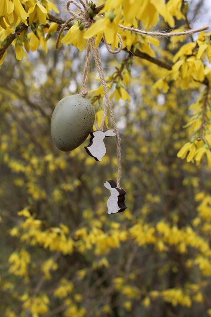 Palmweihe, Ratschen, Kreuzweg, Fleischweihe, Nesterlsuche oder das Eierpecken: nur die Glocken fliegen am Gründonnerstag wie jedes Jahr nach Rom. Ansonsten ist die Karwoche geprägt vom Corona-Virus.