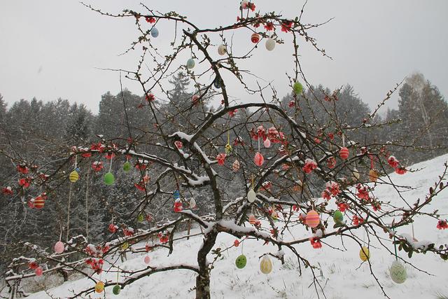 Foto: Josef Fürbass