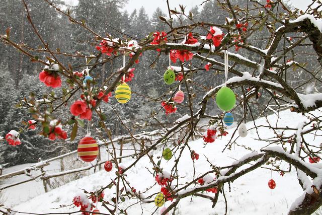 Foto: Josef Fürbass