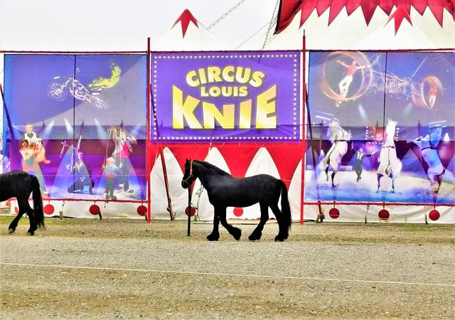 Circus Louis Knie, Seiersberg