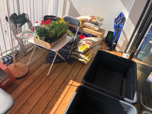 Zwei Hochbeete aus Plastik. Die Kräuter und Salate waren noch in der Schachtel.
