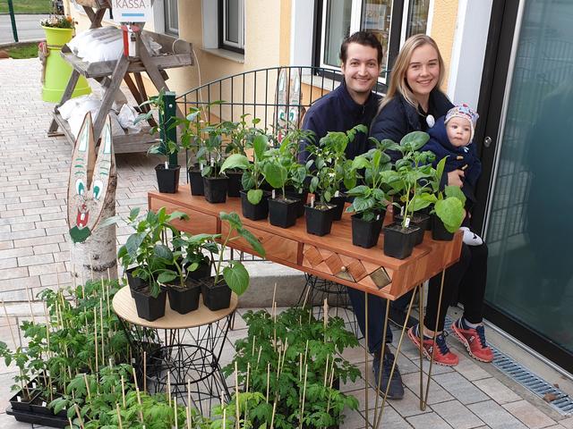 Johannes, Madeleine und Reinhold Kleiß-Doppler mit den Jungpfalnzen. Die gibt's Mitte April.