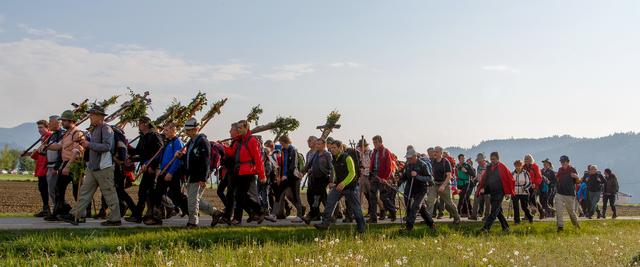 Der Weg führt direkt ins Paradies: Am 24. April würde heuer der Vierbergelauf stattfinden.