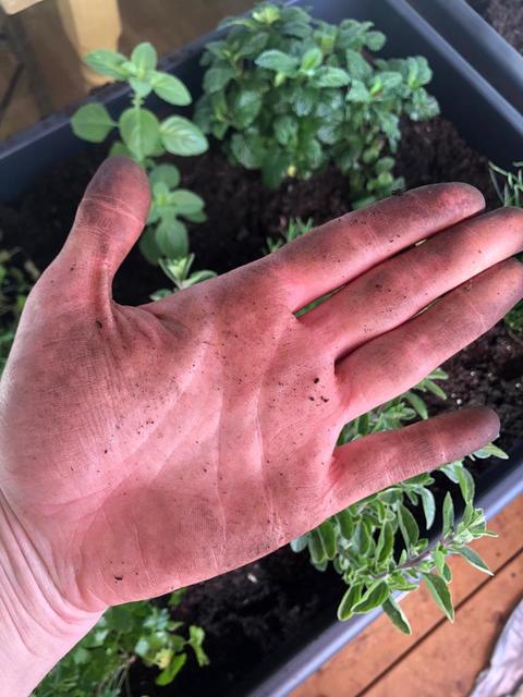 Keine Handschuhe – macht auch nichts.