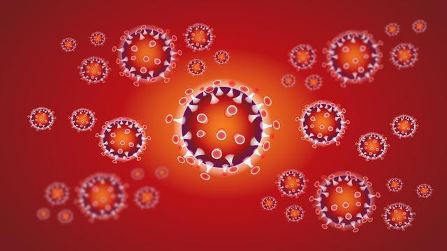 Corona-Virus: 36 bestätigte Fälle im Bezirk Scheibbs, 1.130 Infizierte in Niederösterreich.