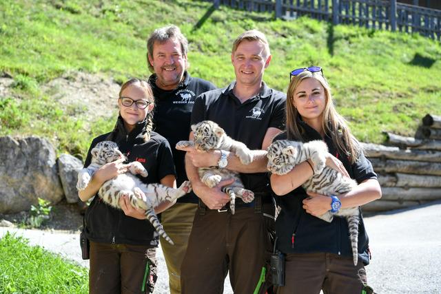 Ein Bild aus glücklicheren Tagen: Herbert Eder und Rainer Zöchling mit Tierpflegerinnen und Tigerbabys.