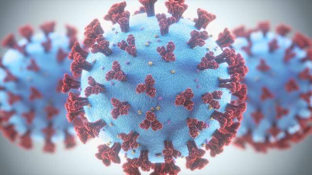 Das Corona-Virus ist hochansteckend. Personen werden gebeten sich zu melden.
