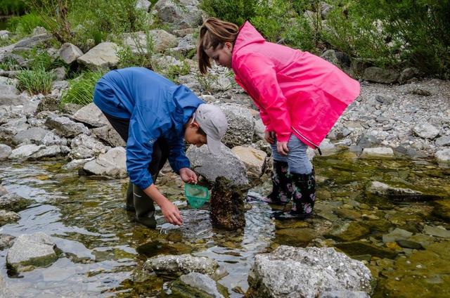 Auch die Junior Ranger analysieren regelmäßig die Wasserqualität der March.  | Foto: EVN