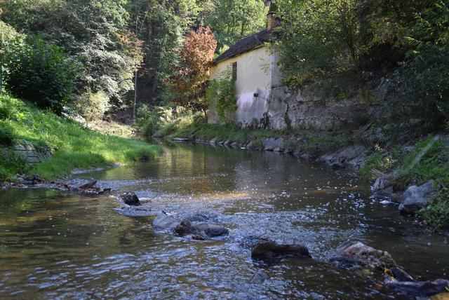 Als Zubringer des Kamps trägt die Taffa einen wesentlichen Teil zu seiner Wasserqualität bei.